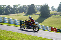 Vintage-motorcycle-club;eventdigitalimages;mallory-park;mallory-park-trackday-photographs;no-limits-trackdays;peter-wileman-photography;trackday-digital-images;trackday-photos;vmcc-festival-1000-bikes-photographs